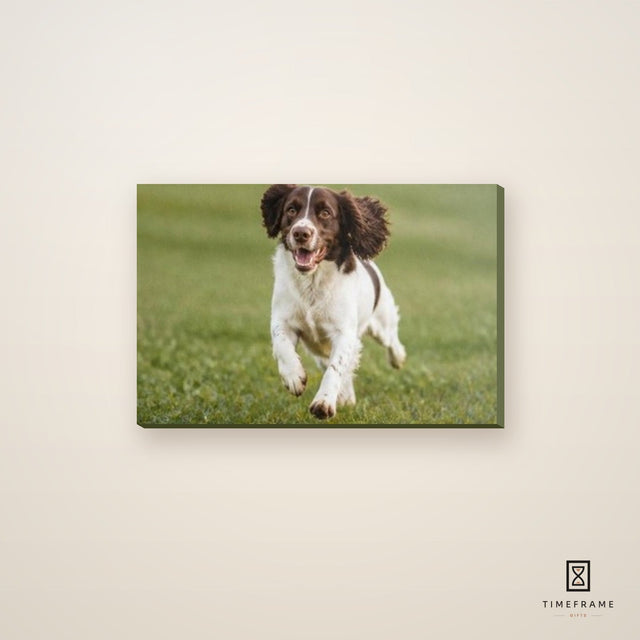 Photo Canvas — 300×200mm