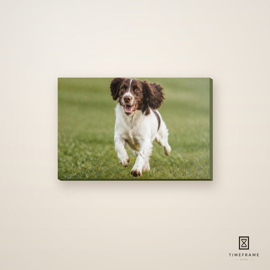 Photo Canvas — 300×200mm